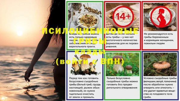 MDMA Premium VHQ Дмитриев